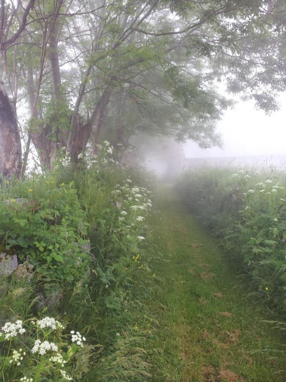 Auberge La Bergerie Sainte-Marie-de-Campan Exteriör bild